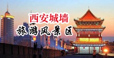 漫画屄屌中国陕西-西安城墙旅游风景区